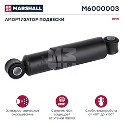 M6000003