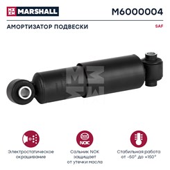 M6000004