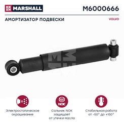 M6000666