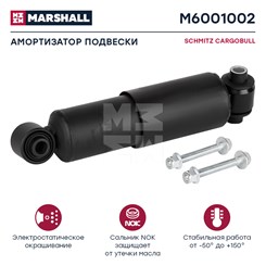 M6001002