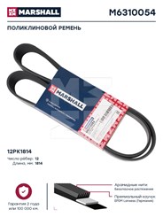 M6310054