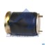 SP 554159-K